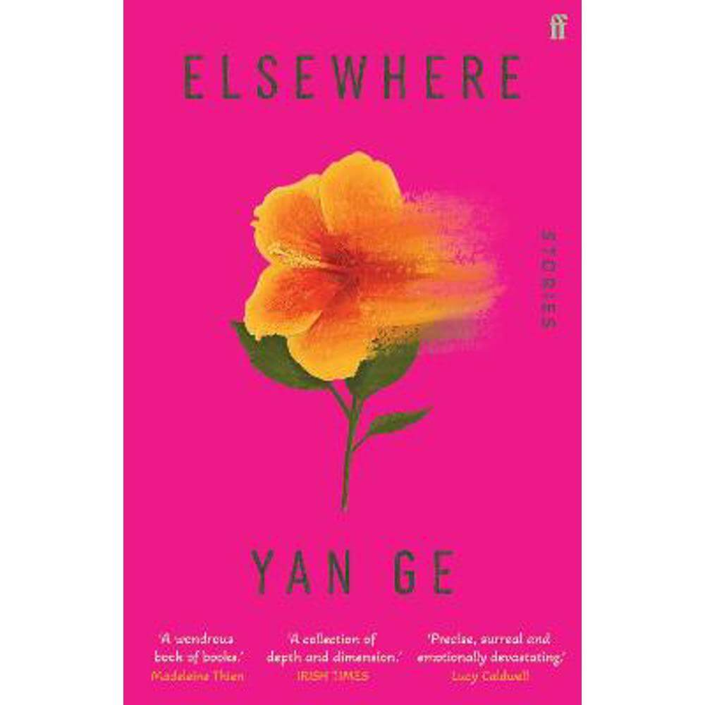 Elsewhere: 'Wonderful writing' Sarah Hall (Paperback) - Yan Ge